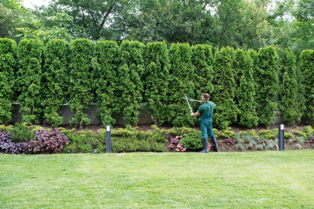 Best Tree Preservation Services  in Bedminster, NJ